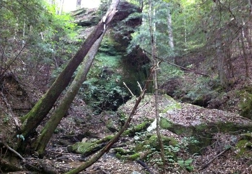 Blue Heron, Big South Fork